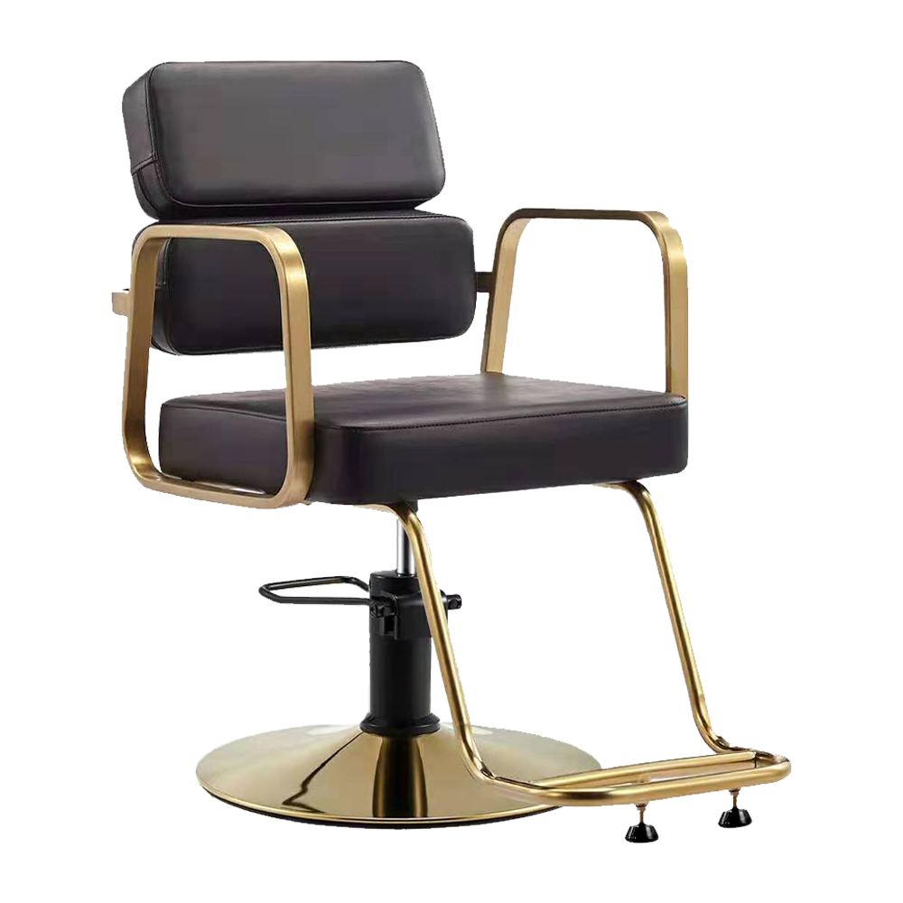 B47-CH019 Professional Hairdressing Chair