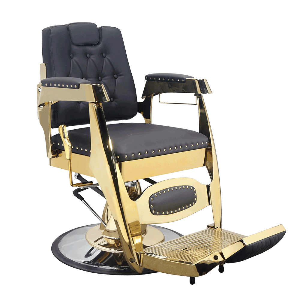 B84-CH042 Professional Barber Chair