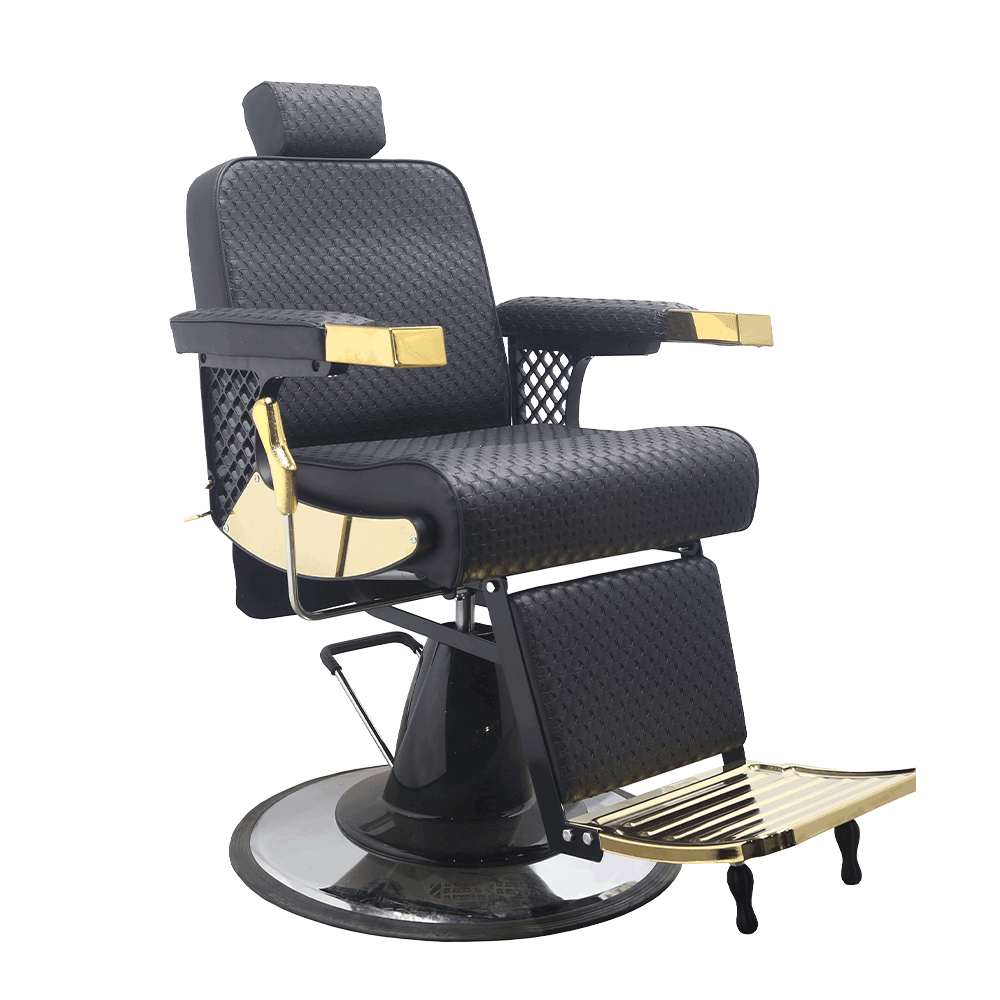 B84-CH043 Professional Barber Chair